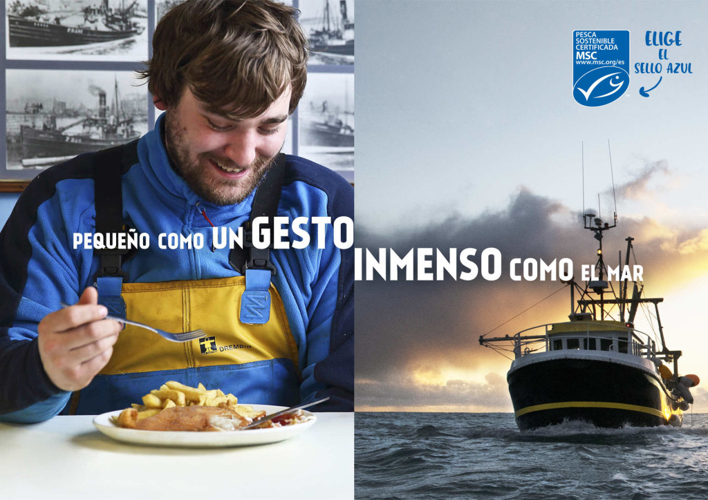 Conservas Serrats colabora con la campaña de MSC por el Día Mundial de los Océanos, "pequeño como un gesto, inmenso como el mar"